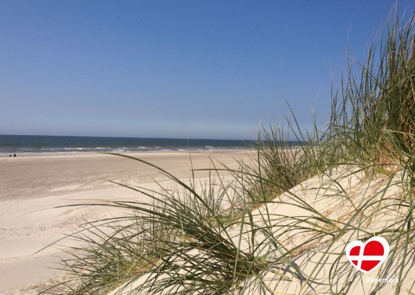 Postkarte "Düne in Vejers Strand"