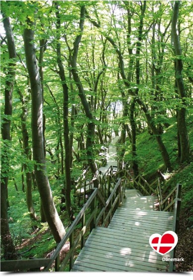 Postkarte "Weg zum Strand in Møns Klint"