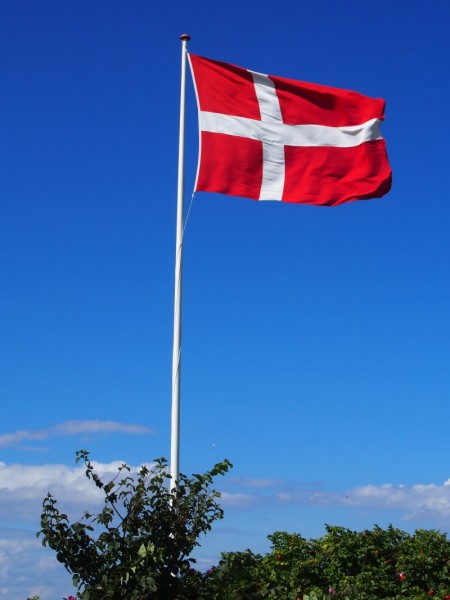 Dannebrog Flagge 250 cm