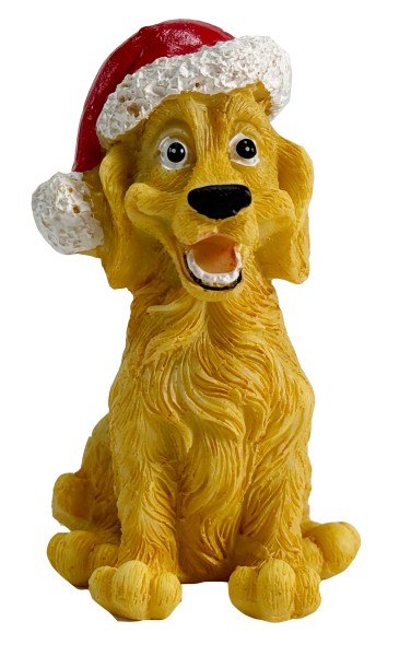 Hund mit Weihnachtsmütze