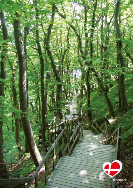 Postkarte "Weg zum Strand in Møns Klint"