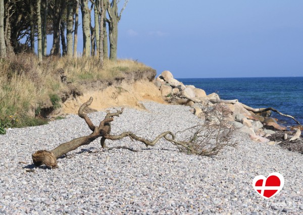 Postkarte "Dovns Klint, Langeland"