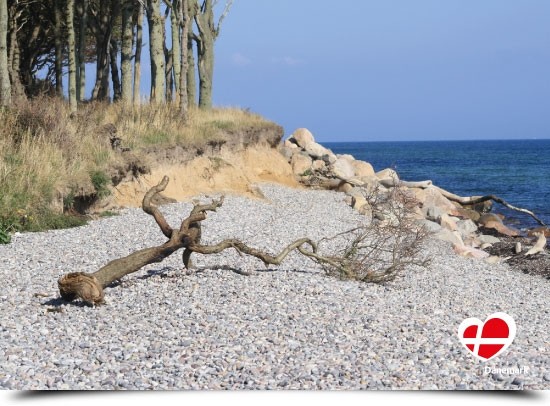 Postkarte "Dovns Klint, Langeland"