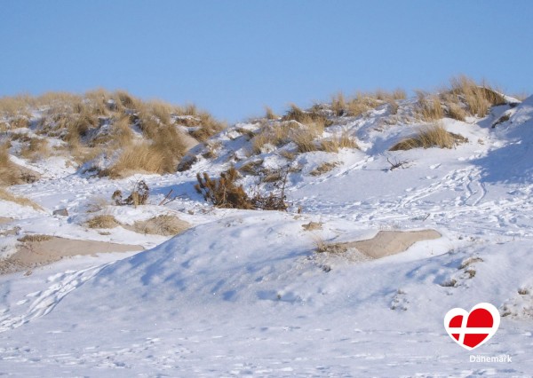 Postkarte "Dünen bei Henne Strand"