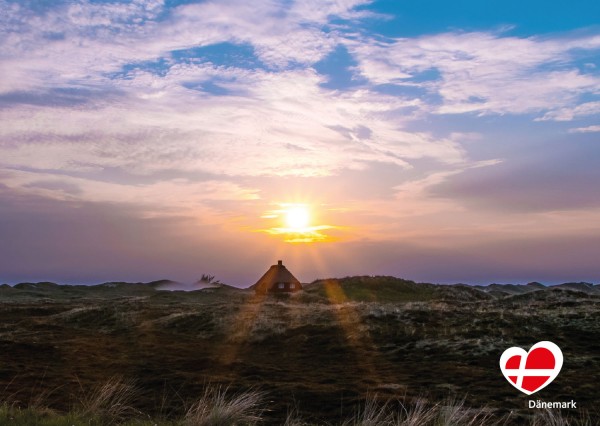 Postkarte "Heide bei Nymindegab"