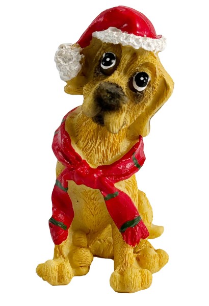 Hund mit rotem Schal & Weihnachtsmütze