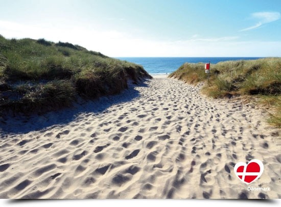 Postkarte "Weg zum Strand in Vester Husby"